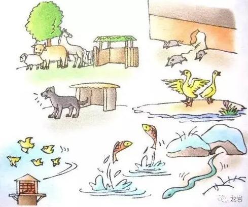 信用卡逾期三個月會上門催收嗎